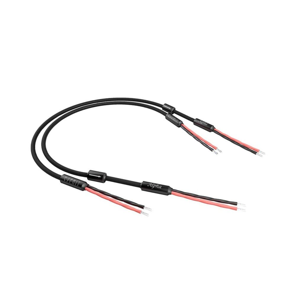 Esprit Alpha Speaker Cable