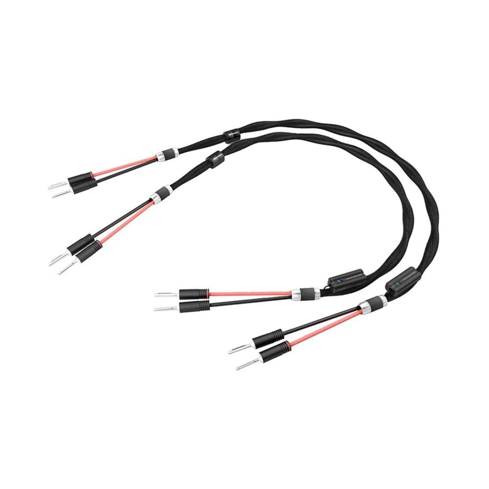 Esprit Aura Speaker Cable