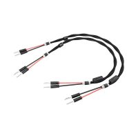 Esprit Aura Speaker Cable