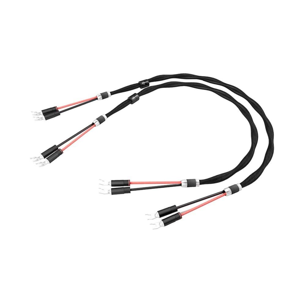 Esprit Eterna Speaker Cable