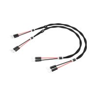 Esprit Eterna Speaker Cable