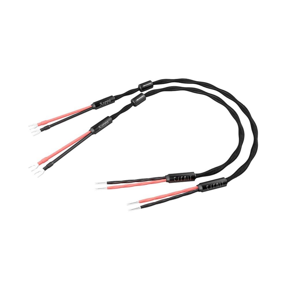Esprit Kappa Speaker Cable