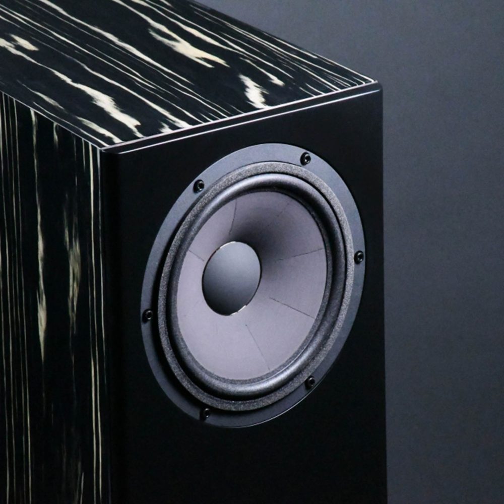 Davis Acoustics MV One Master