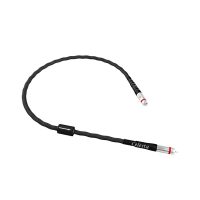 Esprit Celesta Digital S/PDIF