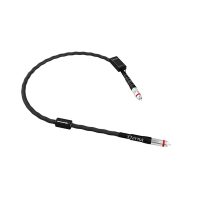 Esprit Eterna Digital S/PDIF