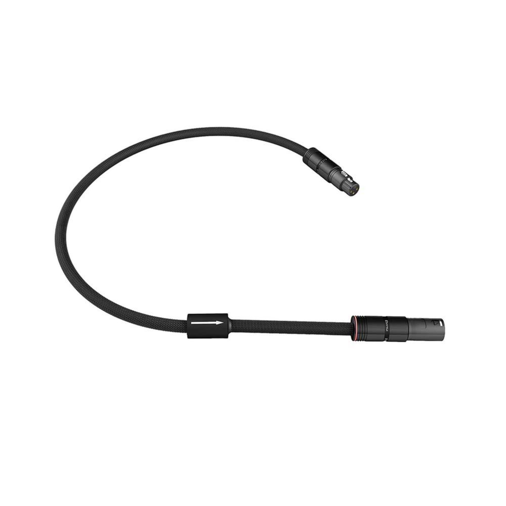 Esprit Eterna Digital AES/EBU