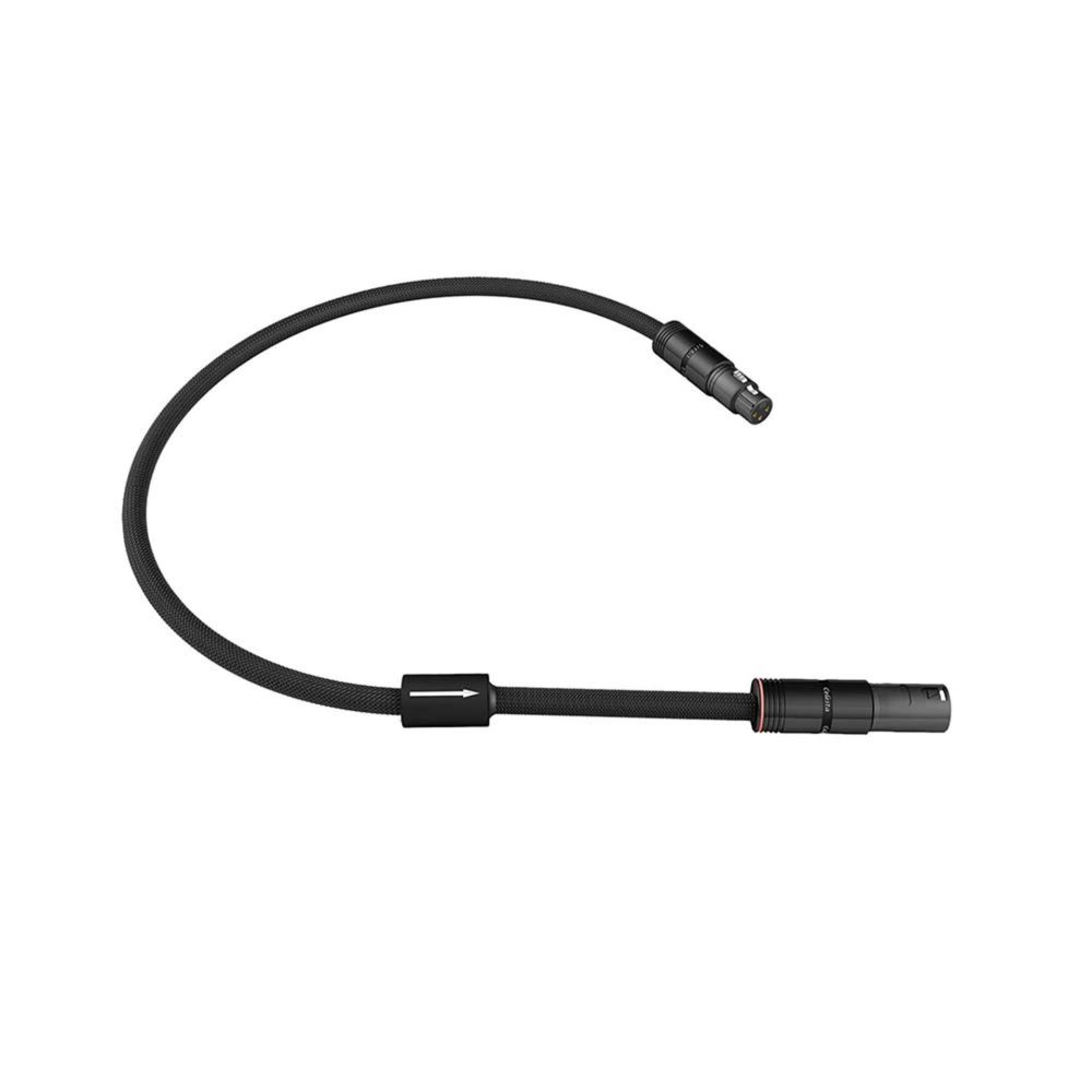 Esprit Celesta Digital AES/EBU Esprit Celesta Digital AES/EBU