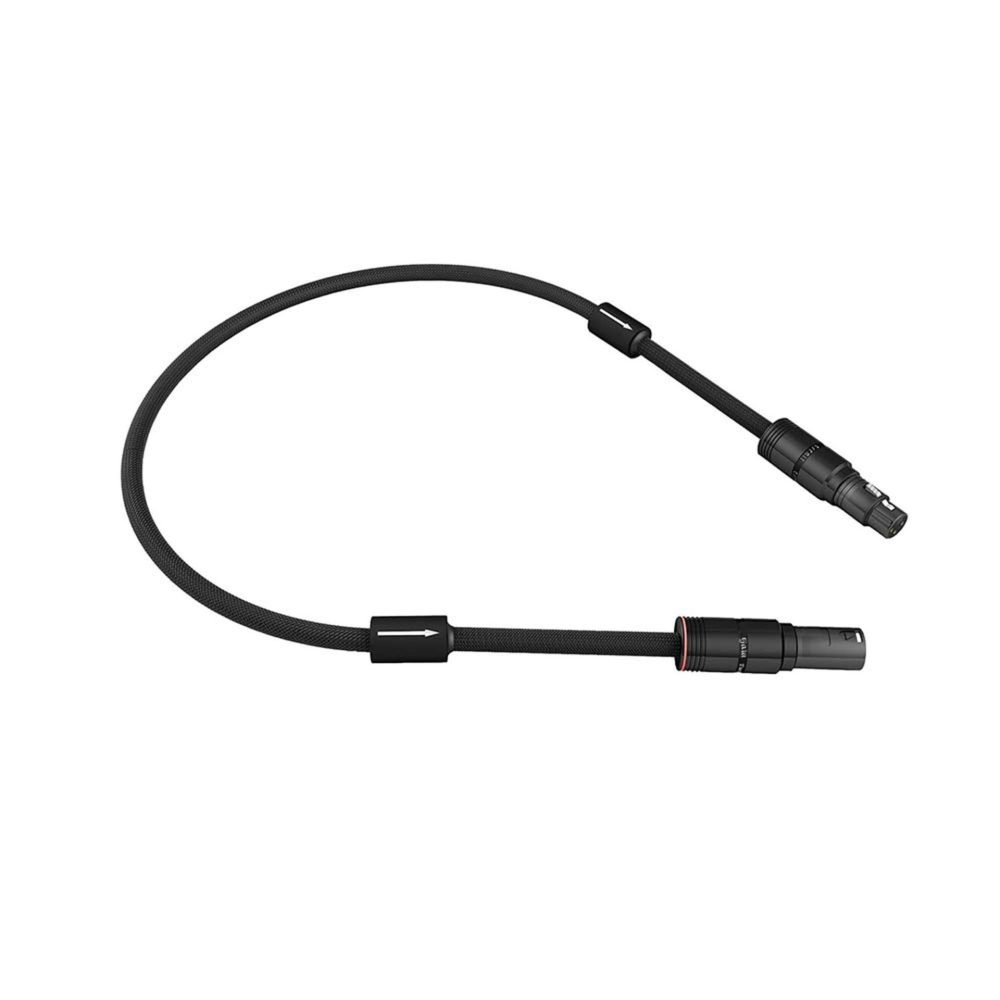 Esprit Gaia Digital AES/EBU