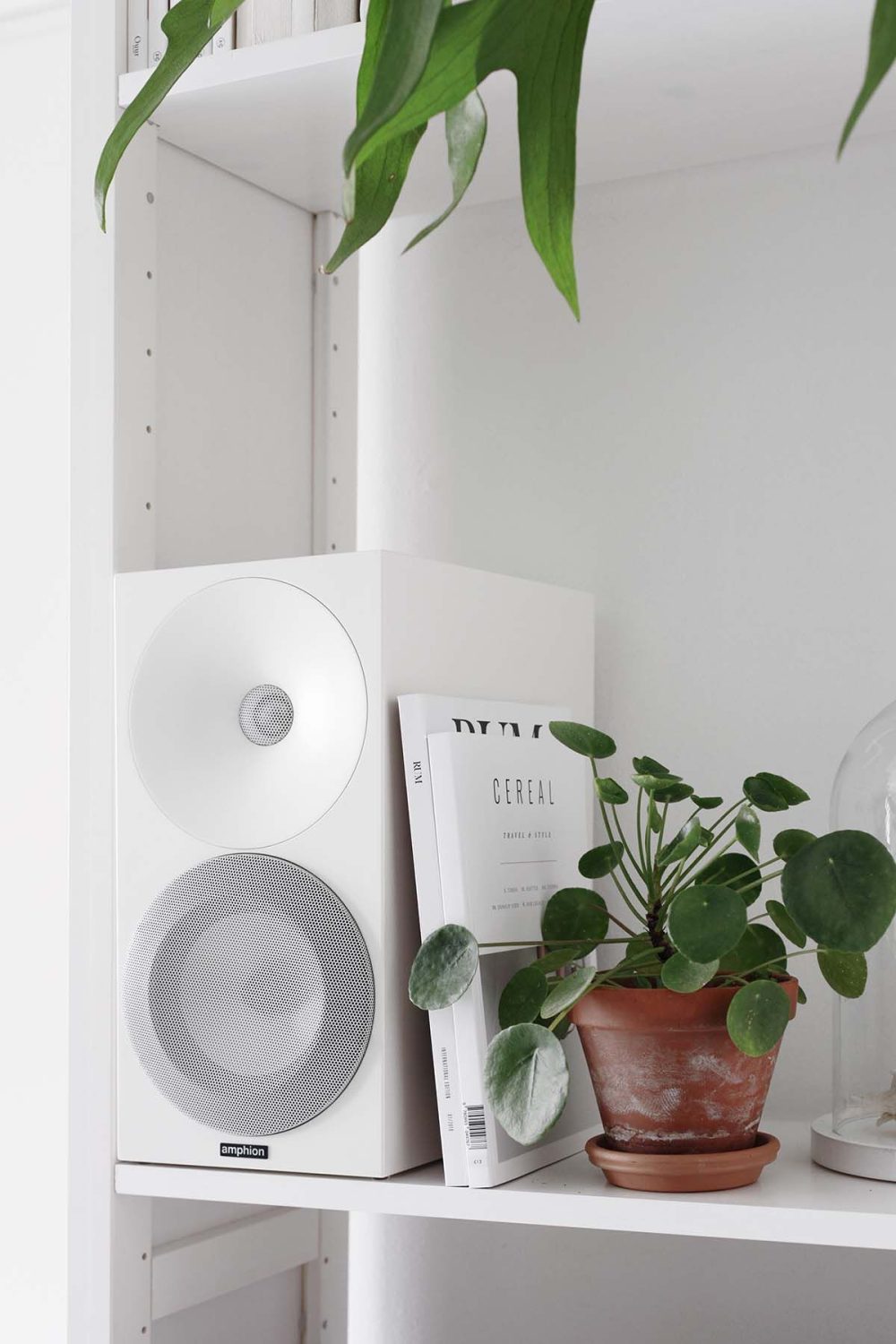 Amphion Argon 3S