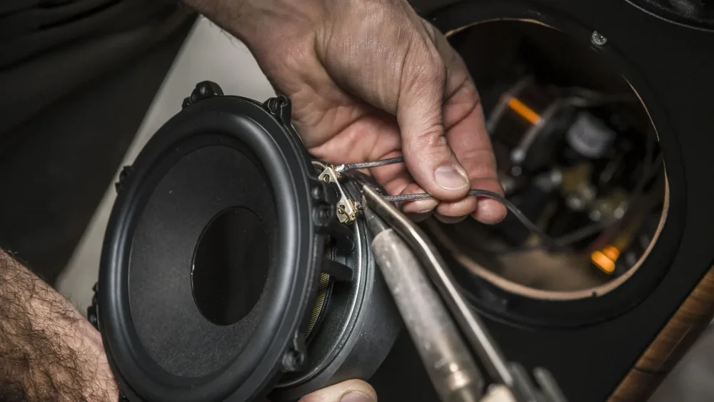 Sonus Faber Il Cremonese