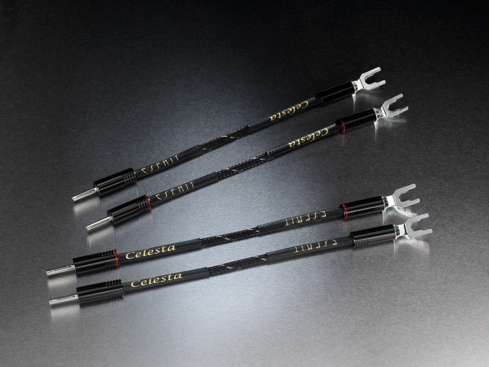 Esprit Celesta Jumpers