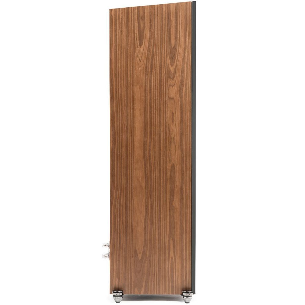 Martin Logan Motion XT F100