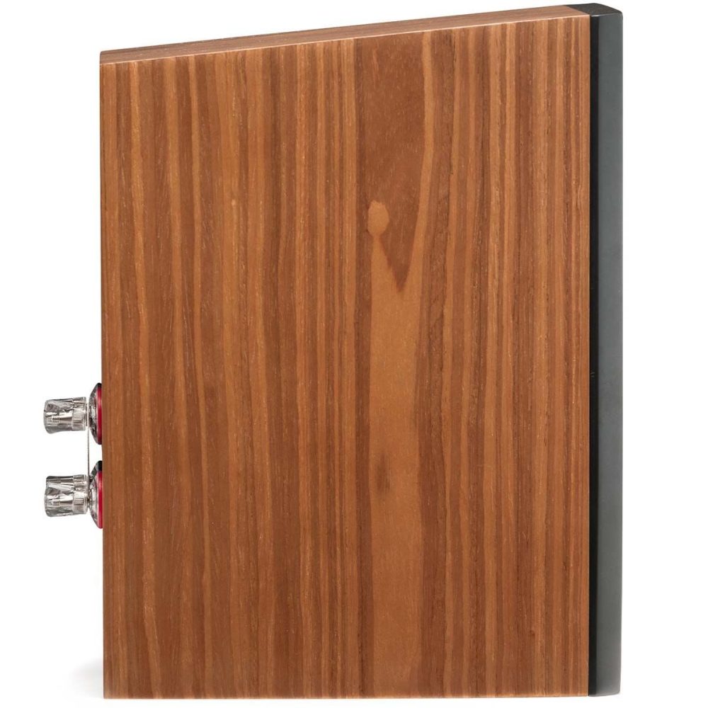 Martin Logan Motion XT B100