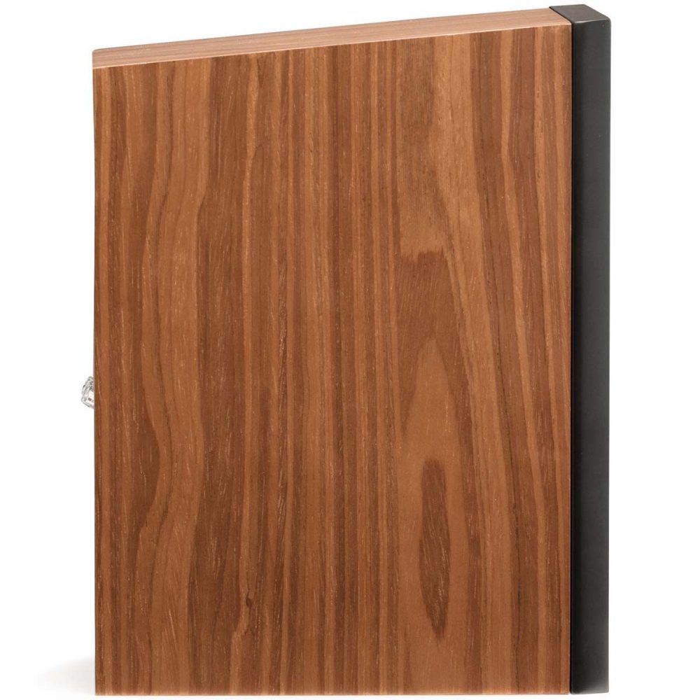 Martin Logan Motion B10