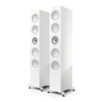 R11 Meta Floorstanding Speakers