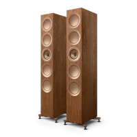 R11 Meta Floorstanding Speakers