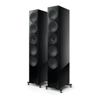 R11 Meta Floorstanding Speakers