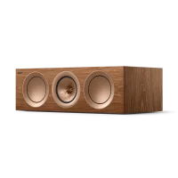 R2 Meta Centre Speakers
