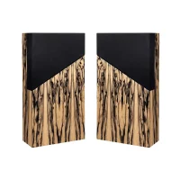 Davis Acoustics The Wall